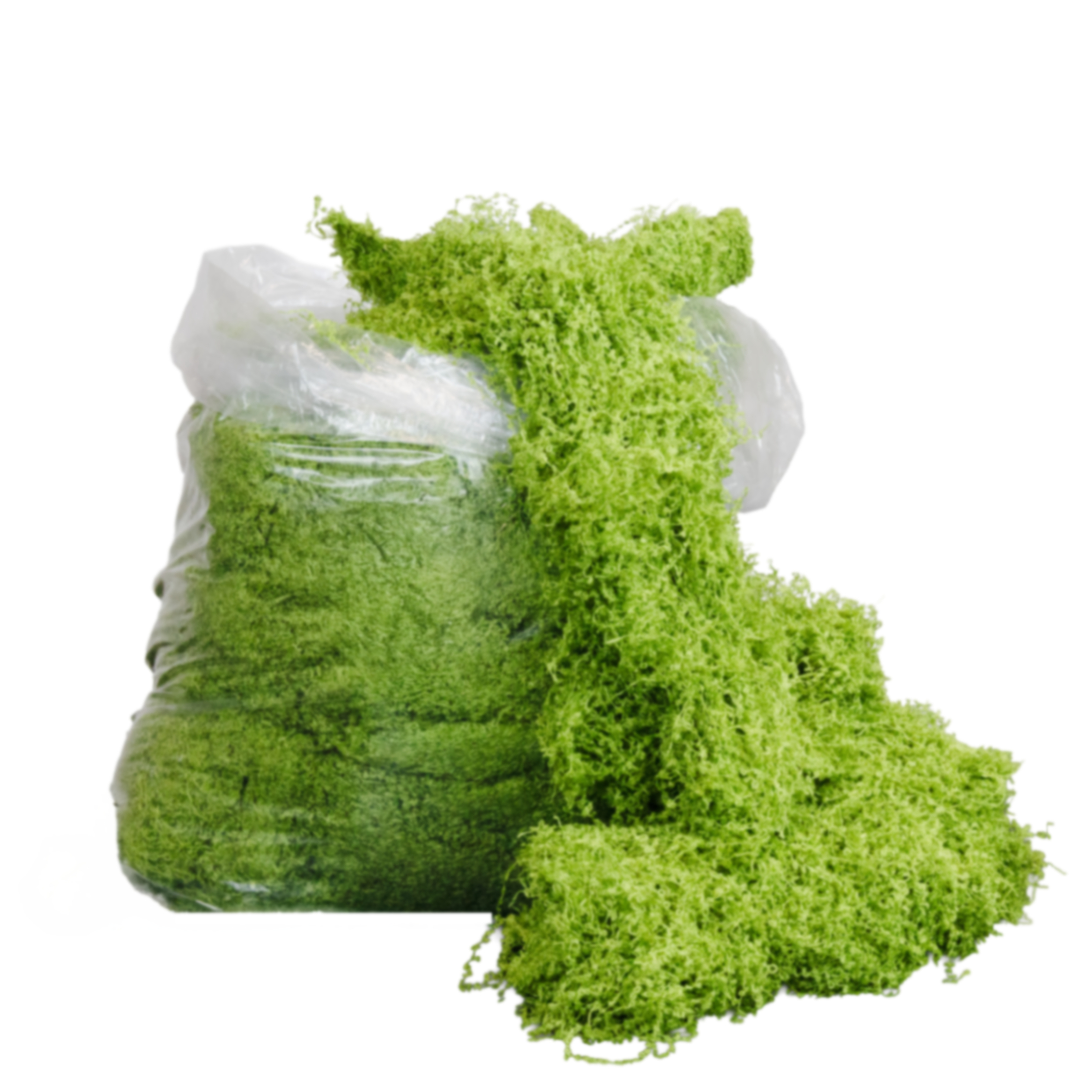 Preserved moss, 500 g